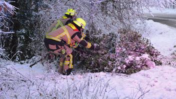 Die Feuerwehr in Reinbek räumt einen umgestürzten Baum von einer Straße.
