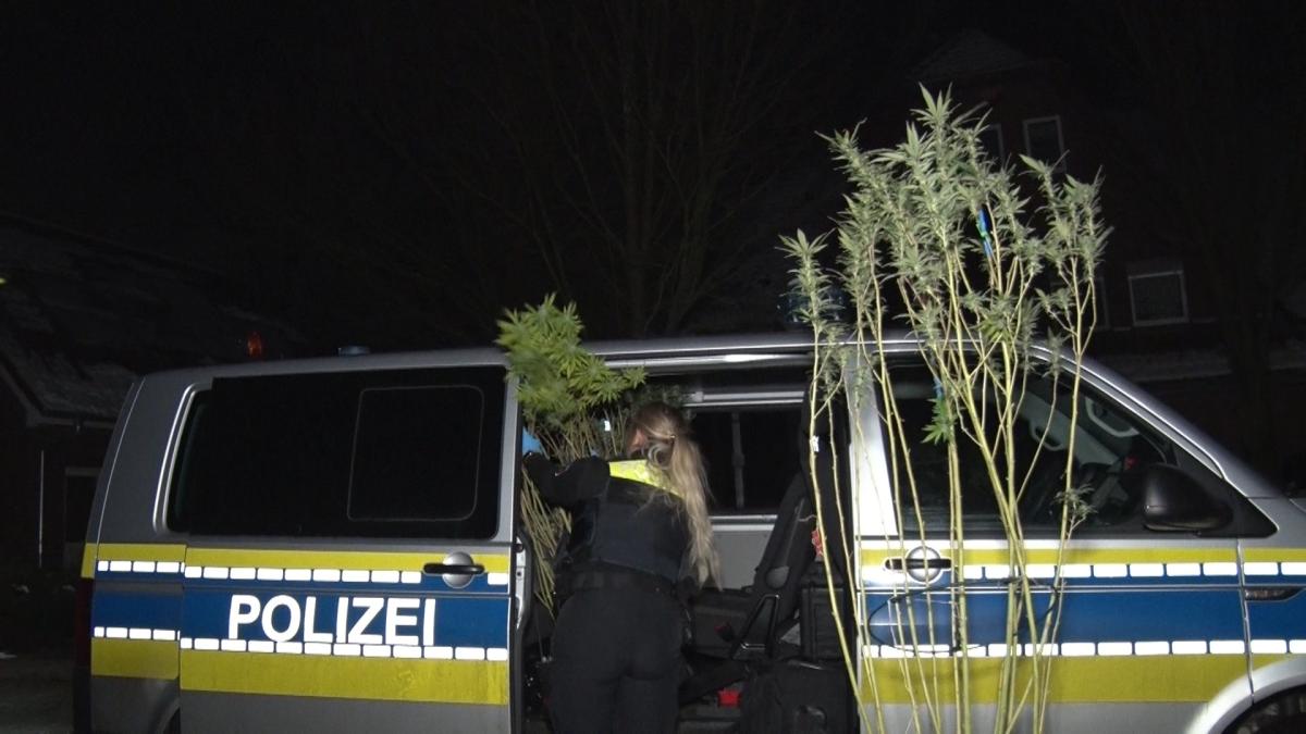 Bl-der-Zufall-Drogenplantage-bei-Feuerwehreinsatz-in-Quakenbr-ck-entdeckt