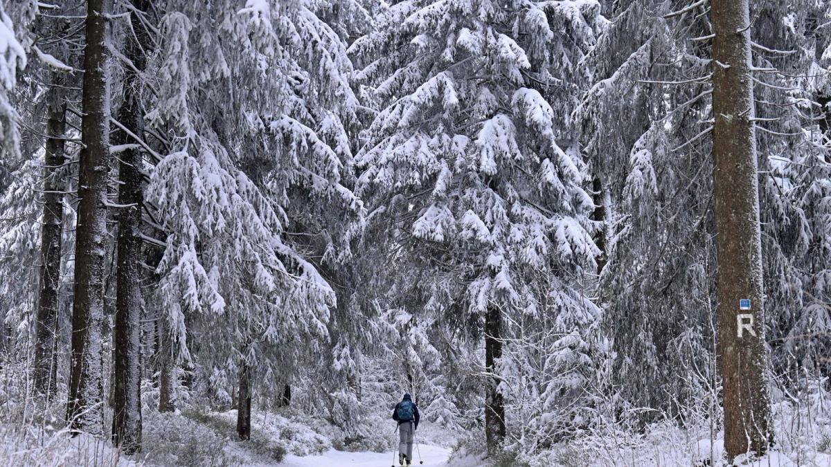 frost-schnee-und-gl-tte-warum-es-gerade-in-deutschland-so-kalt-ist