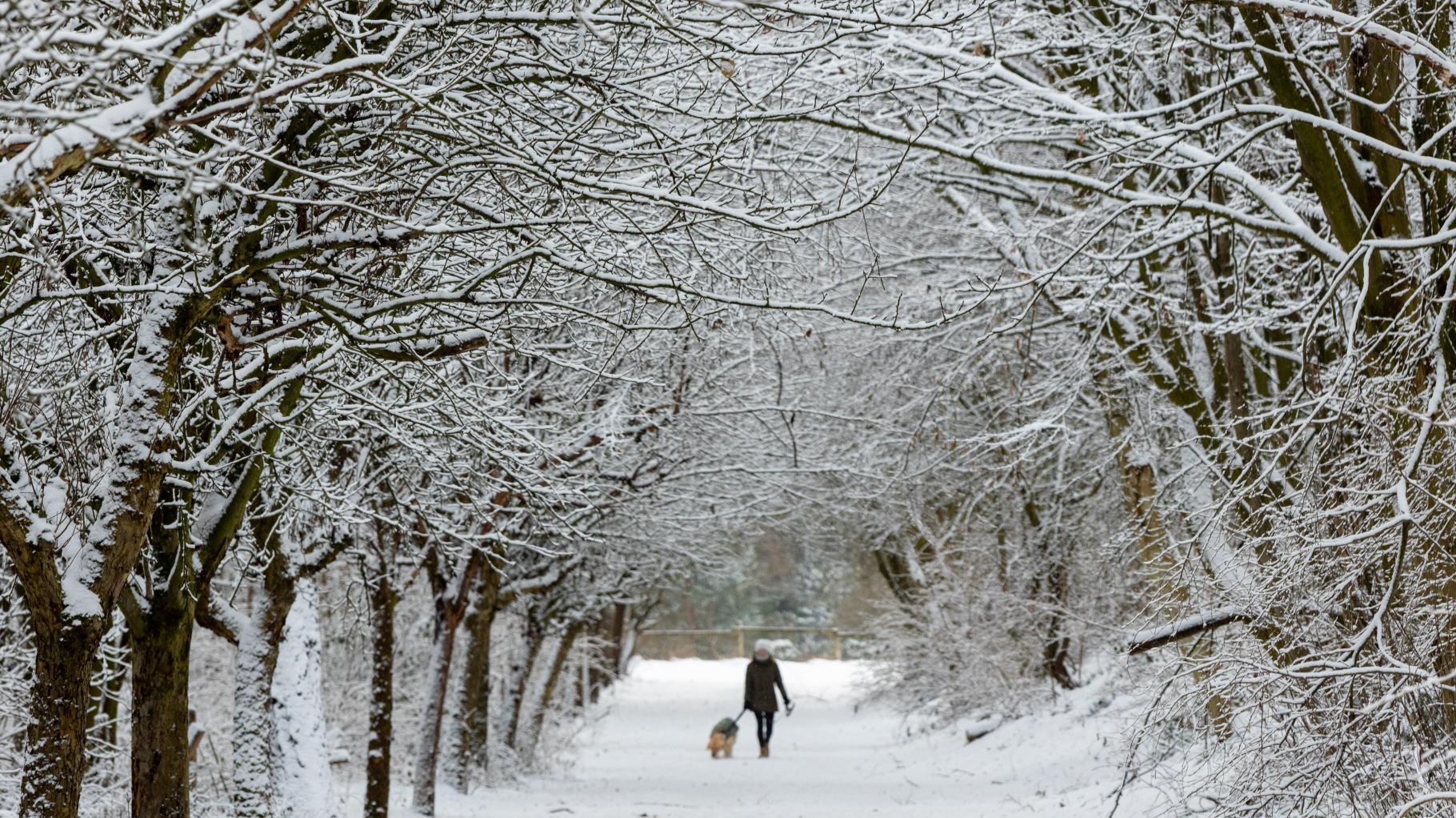 Weiße Winter in Osnabrück: Das sind die Schneehöhen-Rekorde seit 1951