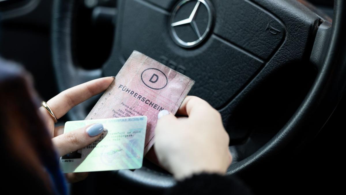 Antrag Fr Fhrerschein Kosten