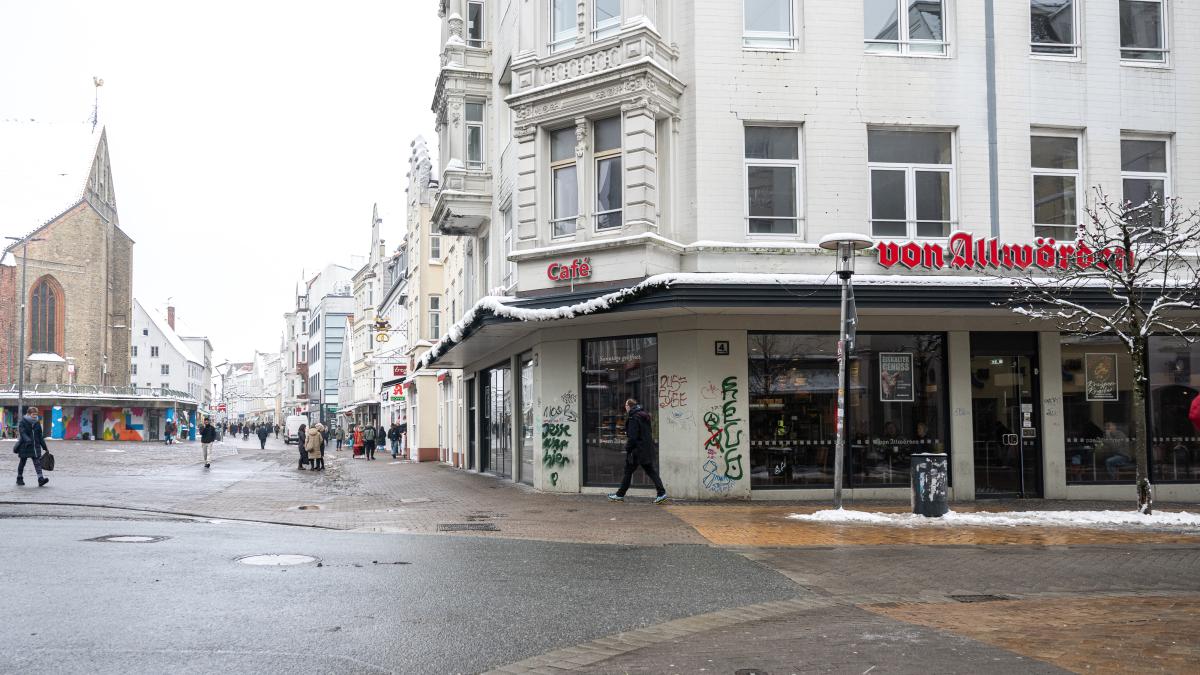 Mouse infestation in Flensburg bakery: City orders measures