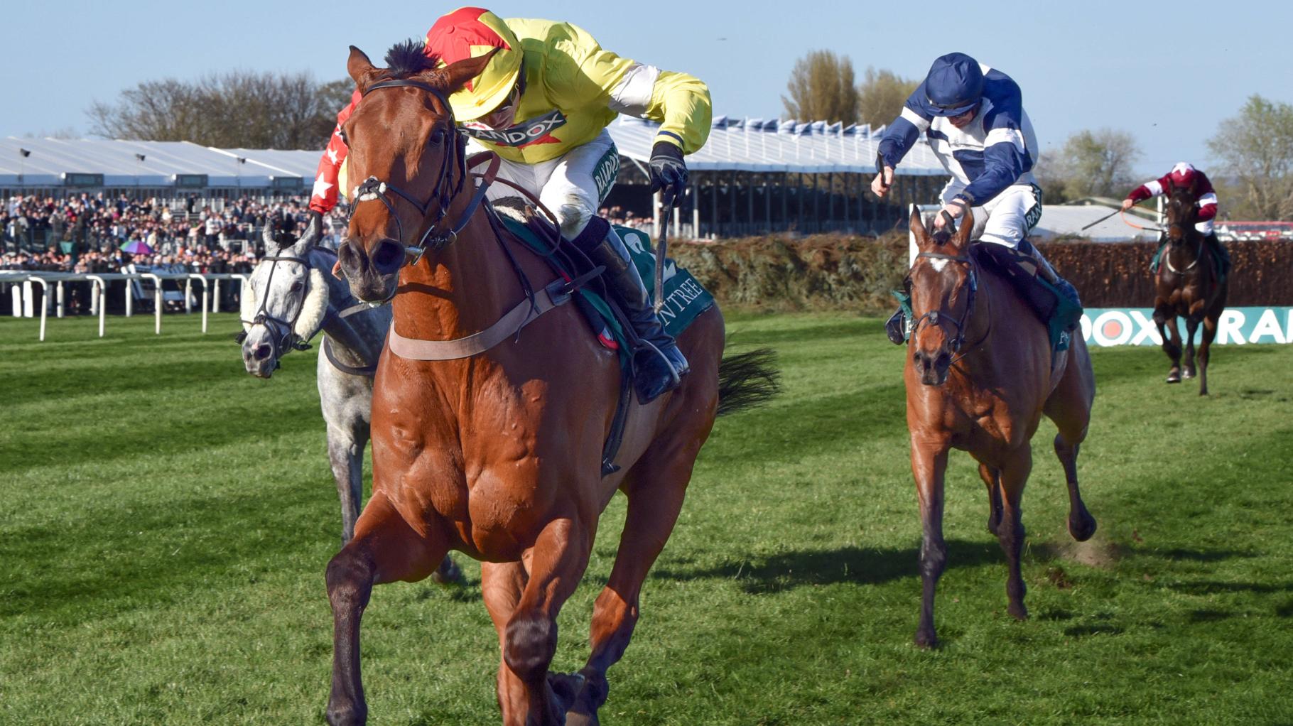 Tragödie bei Pferderennen in England: Drei Tiere sterben am selben Turniertag