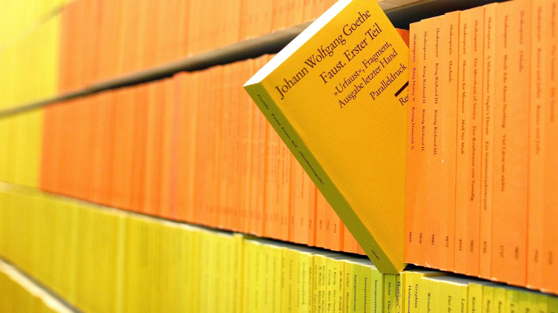 „Faust“ in einfacher Sprache am Gymnasium: Ist das noch Goethe?!