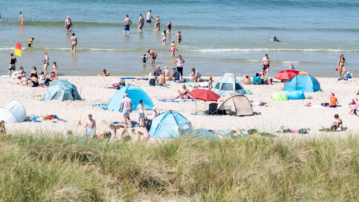 Revenue Ranking: The 10 Largest Companies in North Frisia