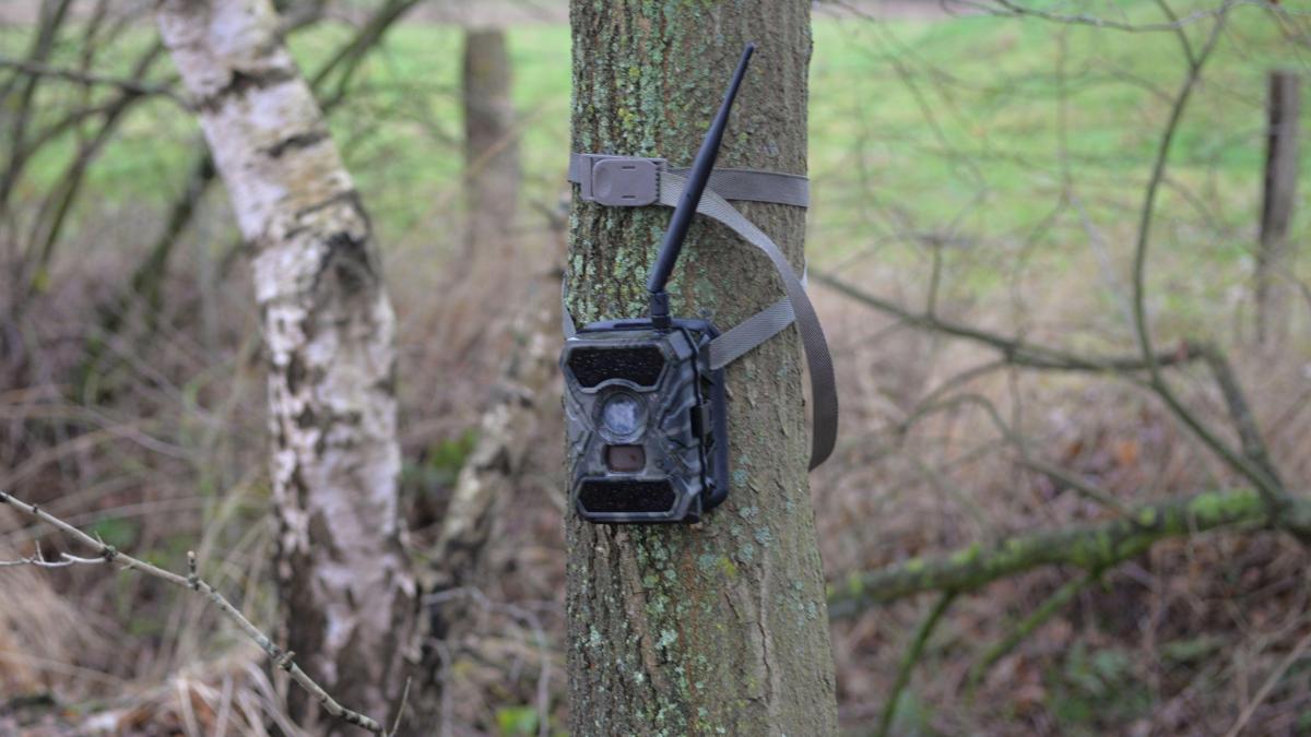 Raub-berfall-in-L-ningen-Wildkamera-filmt-verd-chtige-M-nner