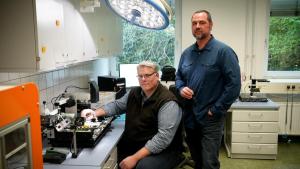 Wie digitale Kfz-Forensik Verbrechen aufklärt