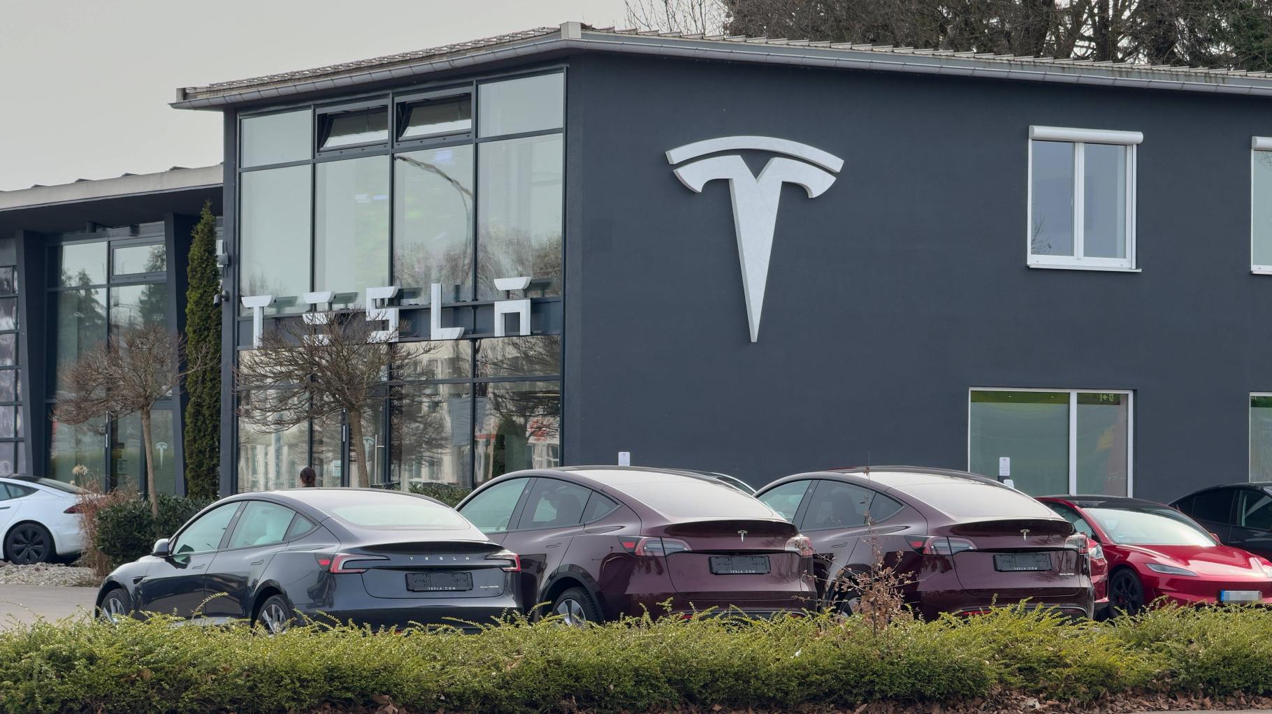 Umfrage zeigt: So viele Deutsche würden sich noch einen Tesla kaufen