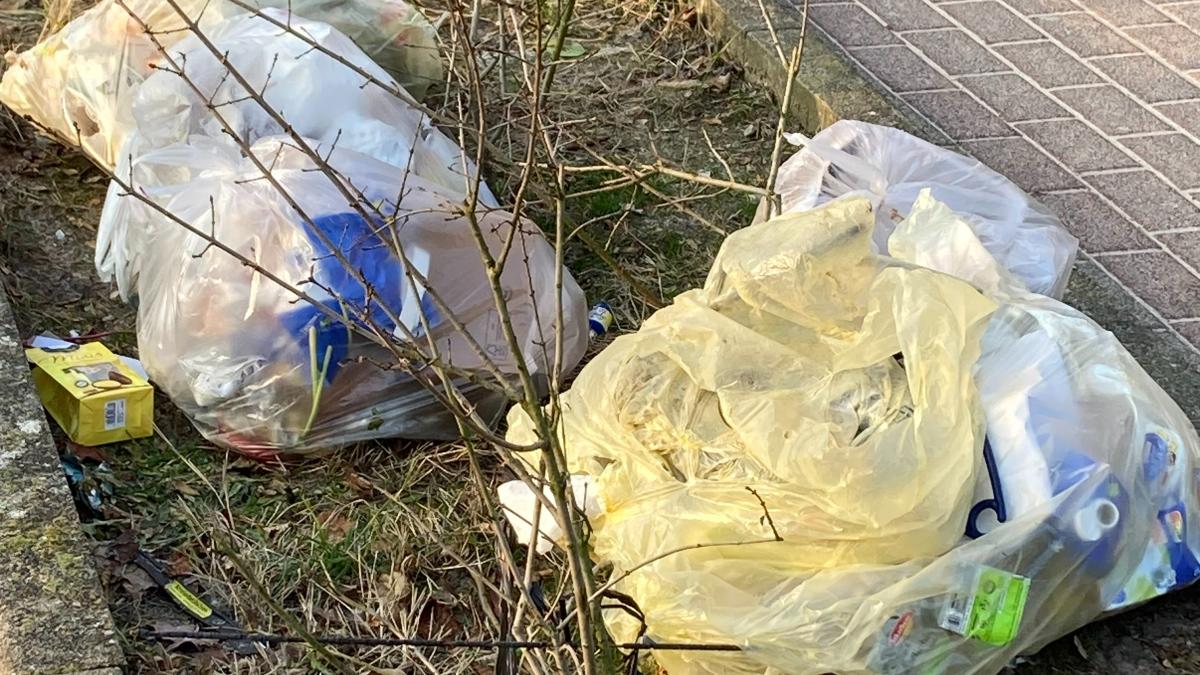Gelbe Tonne statt gelber Sack in Steinburg wirklich besser?