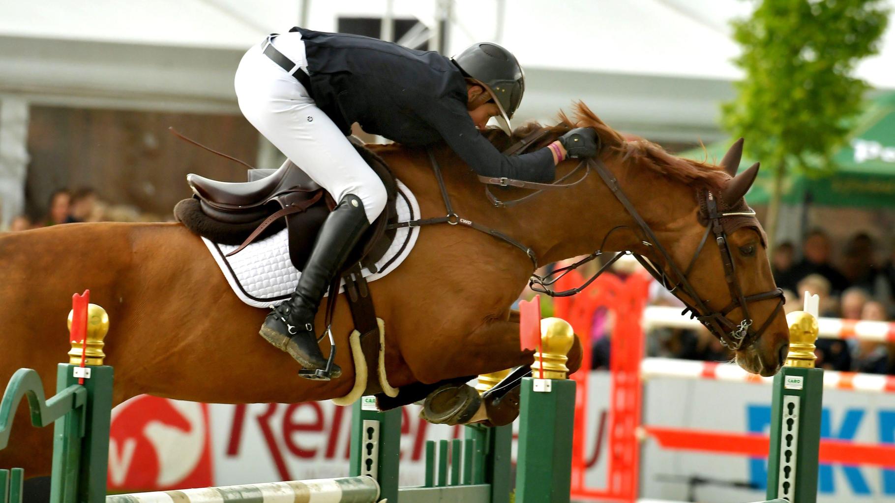 Ticketverkauf läuft: Horses & Dreams in Hagen aTW eröffnet die Freiluftsaison 2026