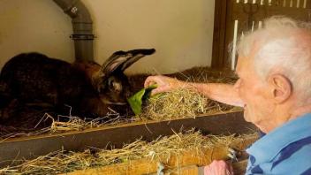 Das Vorbild für den Pflegebauernhof in Achtrup ist der Hof Marienrachdorf von Alexandra Pusch und Guido Pusch in Rheinland-Pfalz.