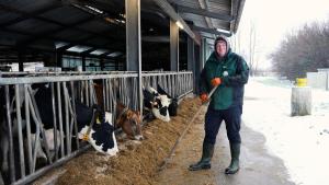 Landwirtschaft im Winter: Frost bringt mehr Arbeit