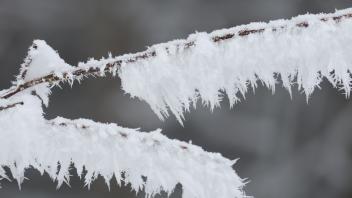 <p>Reif bedeckt die Pflanzen und Sträucher im Harz, wie hier in Schierke. Auch in den kommenden Tagen hält der Frost an. (zu dpa: «Sturmböen und Schnee im Norden»)</p>