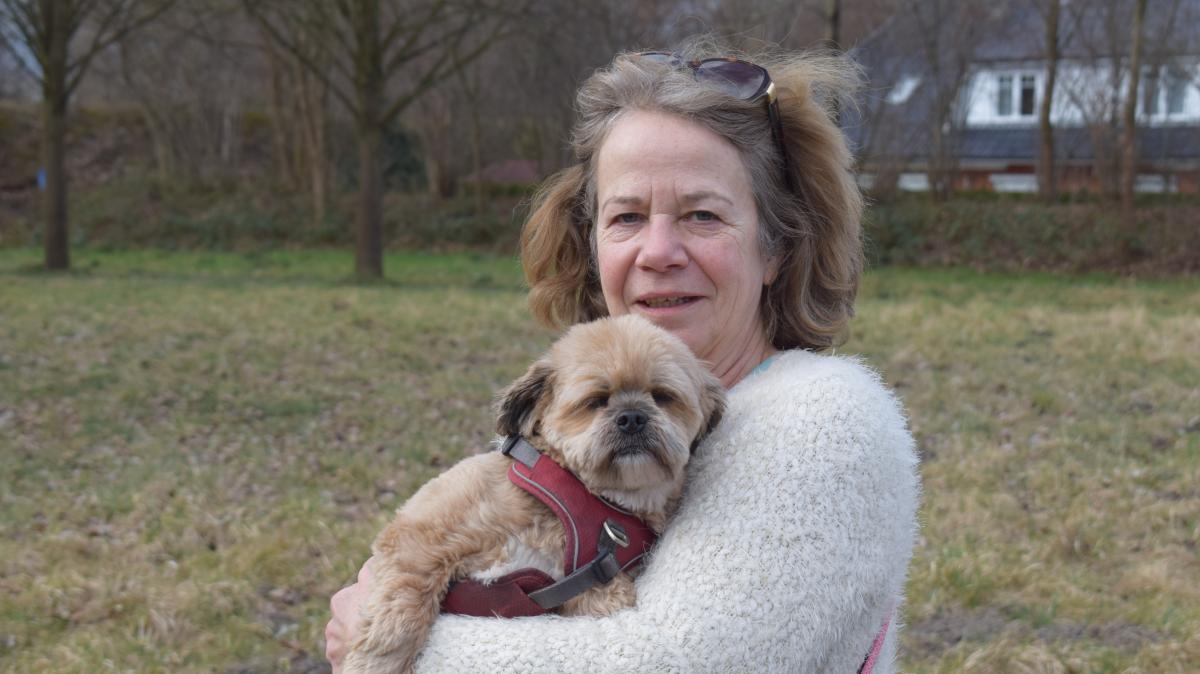 Dog park in Pinneberg: Dispute over location continues