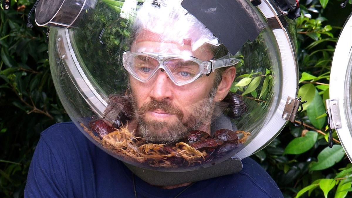 Trotz-L-gen-Skandal-Warum-Mitcamper-fassungslos-ber-Gil-Ofarims-Dschungelcamp-Sieg-sind