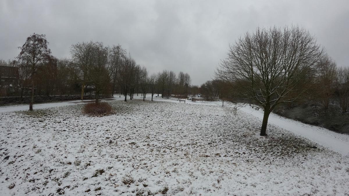 Pinneberg: Dog park coming to Rosenfeld despite protests