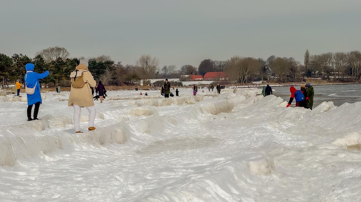 Flensburg Fjord: Icebergs pile up on the beach at Holnis