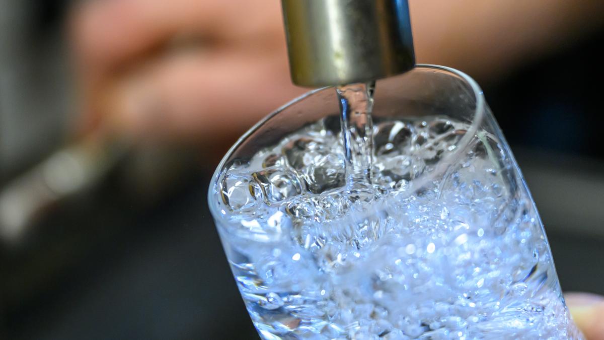 FDP Delmenhorst: Nein zum Wasserwerk in der Graft
