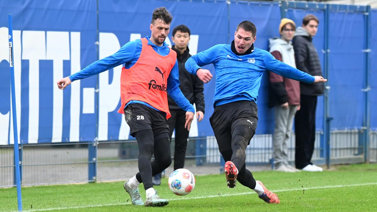 Outing bei Holstein Kiel: Jonas Meffert ist ein Tim-Walter-Fan