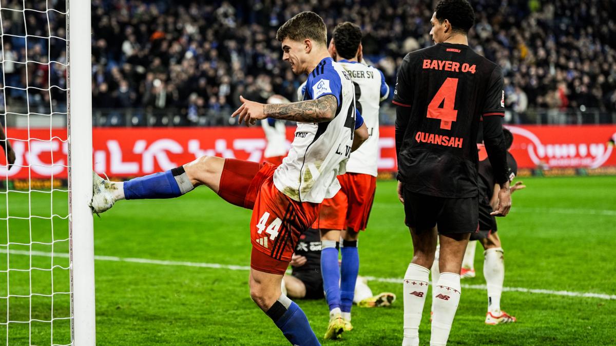 HSV slips into relegation battle before game in Wolfsburg