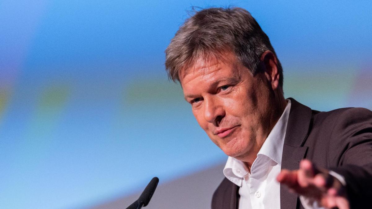 Robert Habeck's new life: From climate minister to foreign policy ...