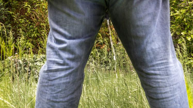 Menschlicher Urin als Dnger im Garten: Sinnvoll oder eklig?