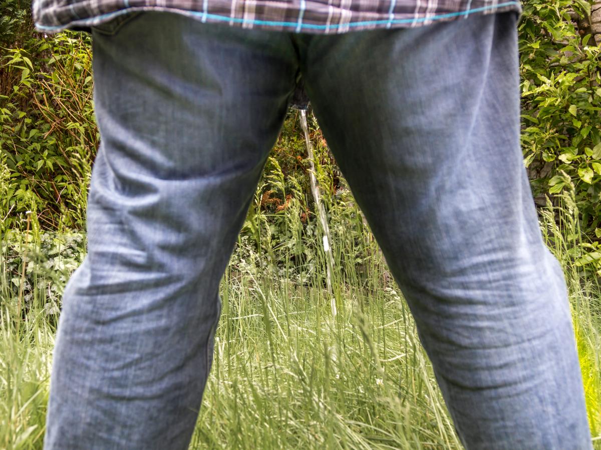Menschlicher Urin als Dnger im Garten: Sinnvoll oder eklig?