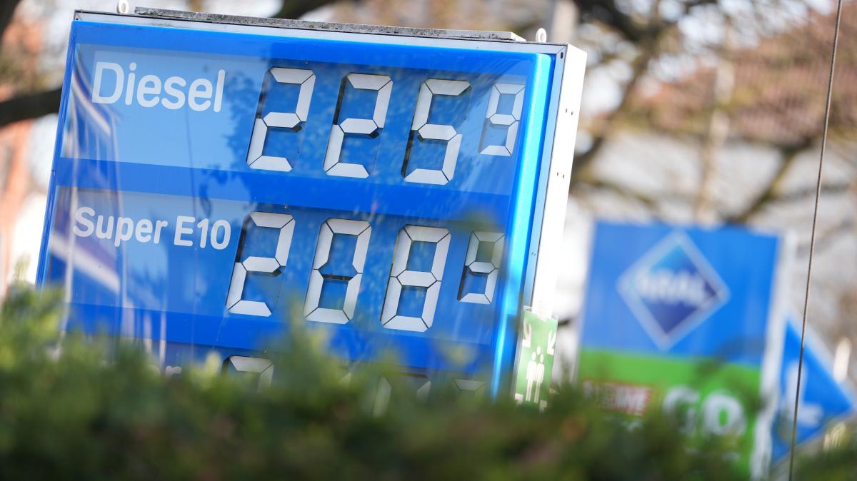 High fuel prices: Wealthy want increases only once a day