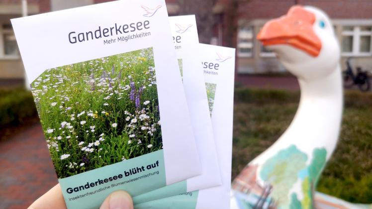 Ganderkesee blht auf: Kostenloses Saatgut gegen Insektensterben