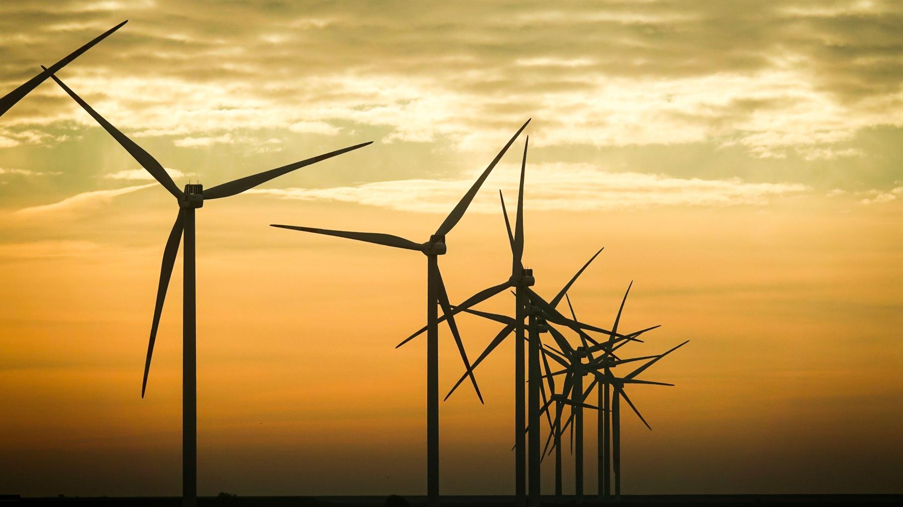 Deutschland erreichte 2025 seine Klimaziele: Darum ist das nur knapp gelungen