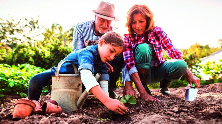 Blumenerde: Besser regional und nachhaltig