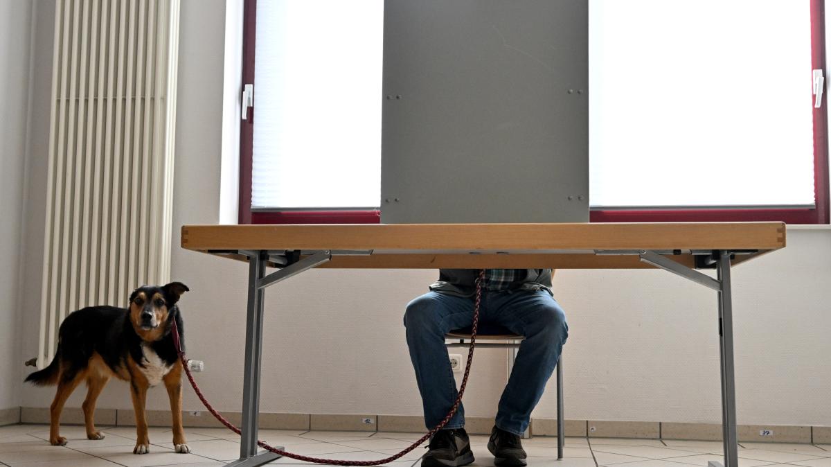 Rhineland-Palatinate Election 2026 Live Ticker: Information on Voter ...