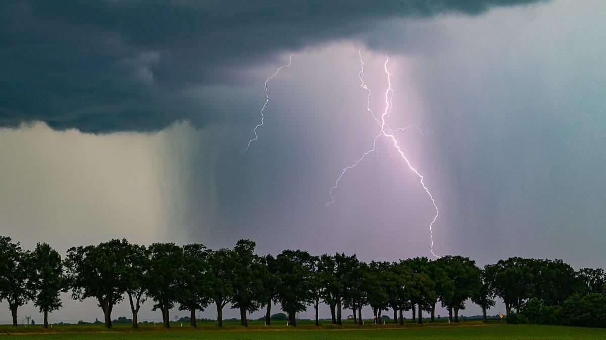 Severe weather warning for the OM: Heavy rain and gale-force winds
