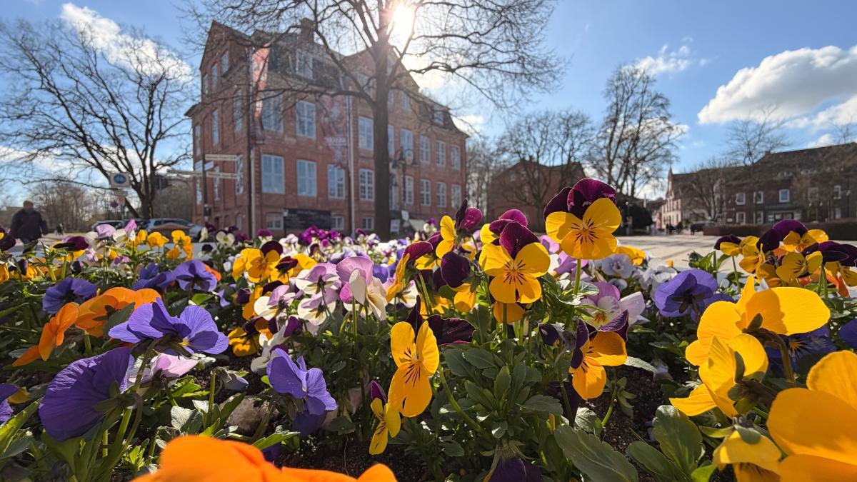 Weather report for the Pinneberg district: March 2026 was much too warm at ...