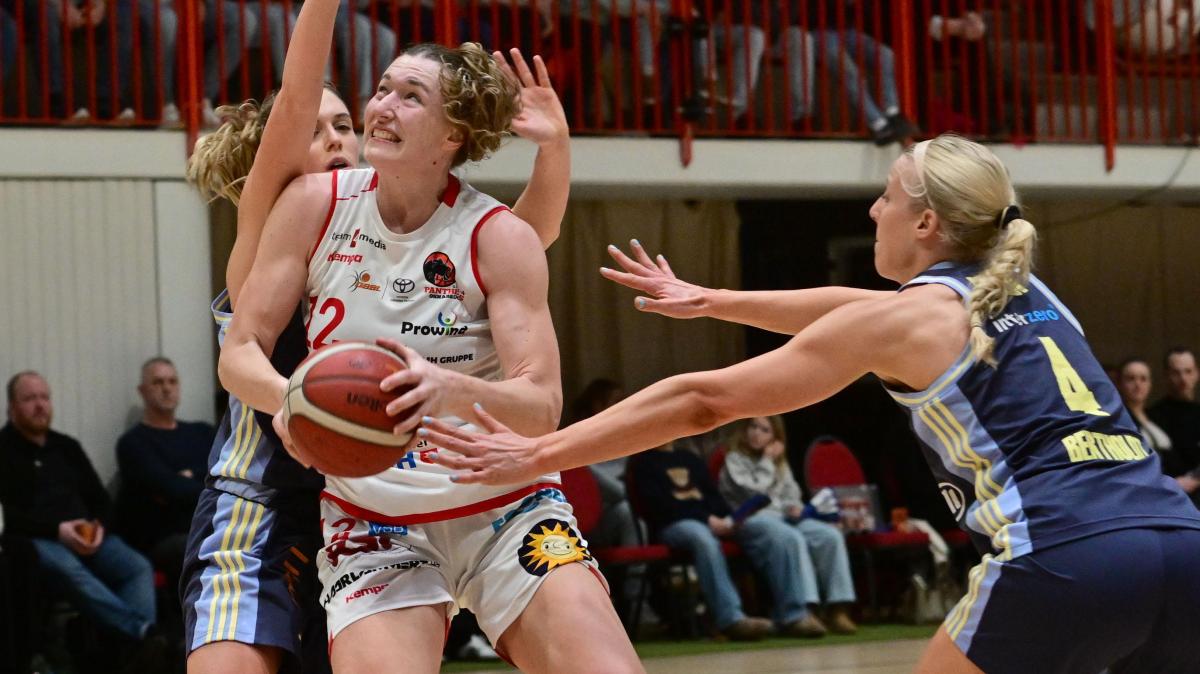 Basketball: Panthers Osnabrück gegen Alba mit dem Rücken zur Wand