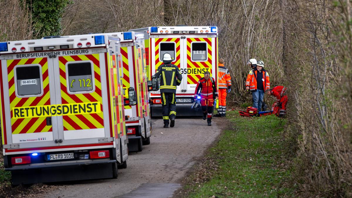 Tree falls on people near Flensburg: 3 dead, including a baby