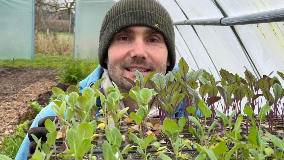 Five years of CSA in Holnis delivers organic vegetables from the region
