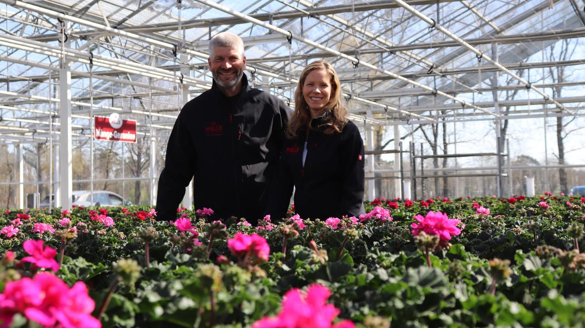 Melle Nursery: Successful in Ganderkesee for 80 years