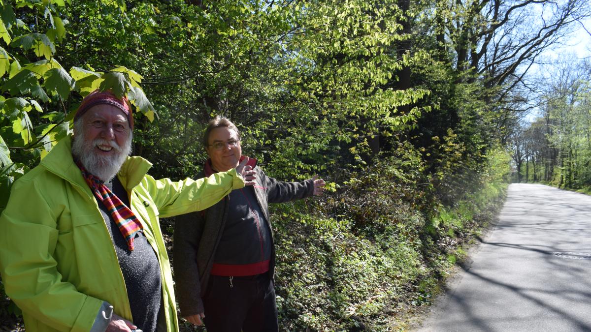 Almost 3,000 amphibians rescued in Pinneberg at Hogenkamp