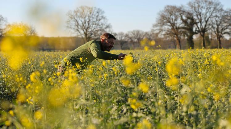 Landwirte sollen Hilfen bei teurem Dnger und Diesel bekommen