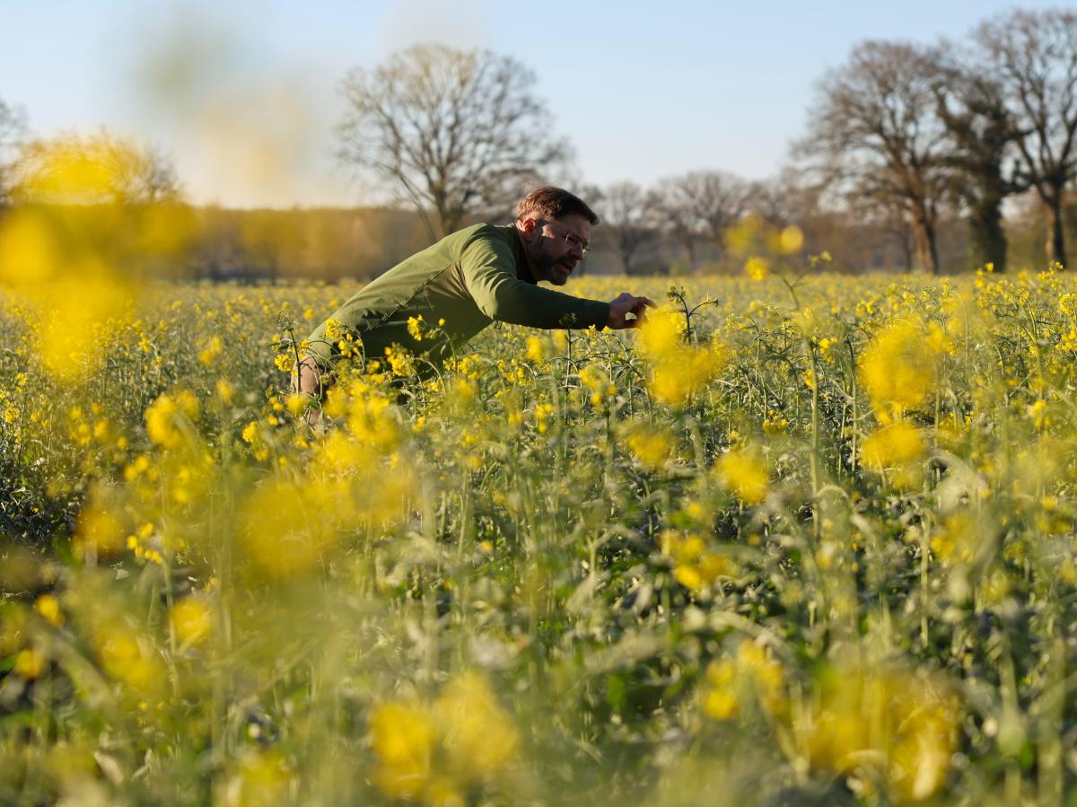 Landwirte sollen Hilfen bei teurem Dnger und Diesel bekommen