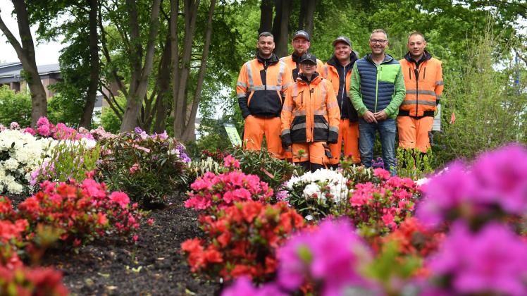 Barmstedts neues Entree zum See: Vom Urwald zum gepflegten Beet