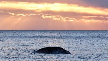 <p>Ein toter Wal liegt vor der dänischen Insel Anholt. Unklar ist, ob es sich um den Wal handelt, der Ende März erstmals vor Timmendorfer Strand gestrandet war und rund einen Monat später in die Nordsee, transportiert wurde. (zu dpa: «Was man aus dem Fall des Buckelwals «Timmy» lernen kann»)</p>