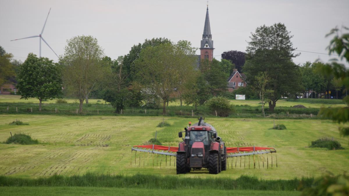 Why Continuous Fertilization Is Crucial for Maximizing Fruit Yields