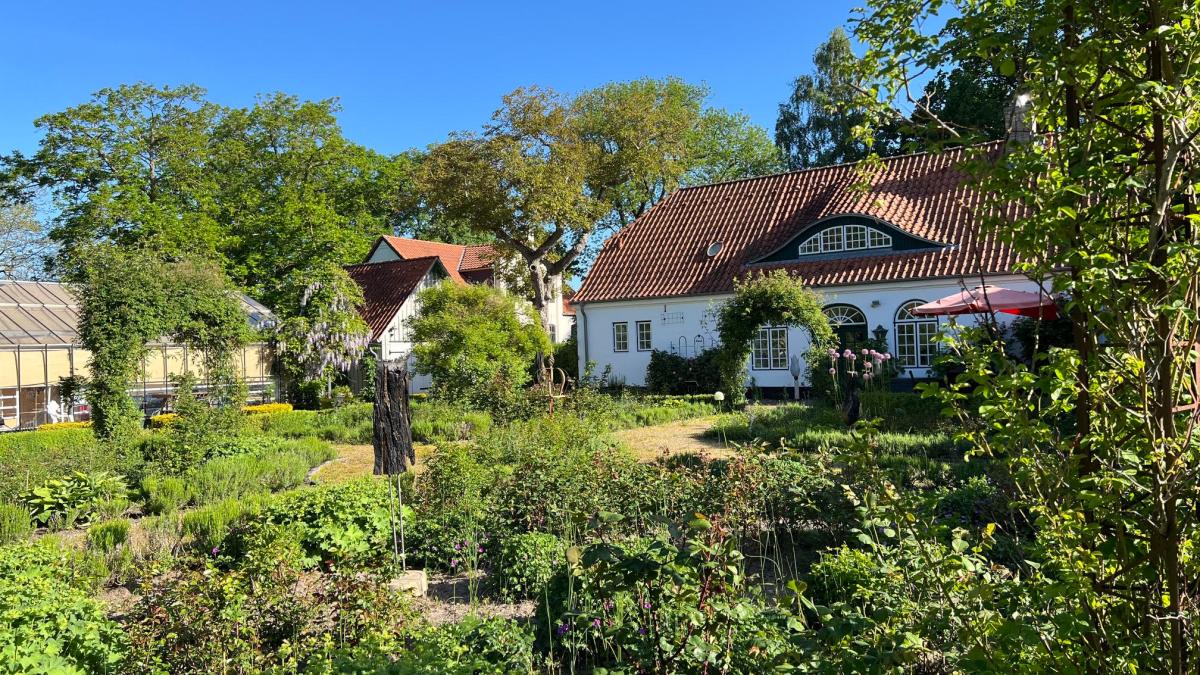 Glücksburg Rose Garden saved: City takes over lease from 2027