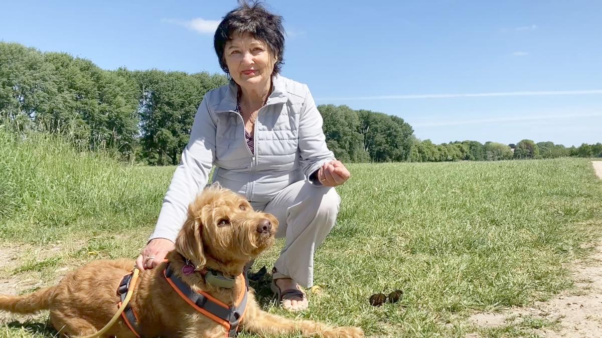 1600 dogs, no space to run: Fight for a dog park in Rendsburg