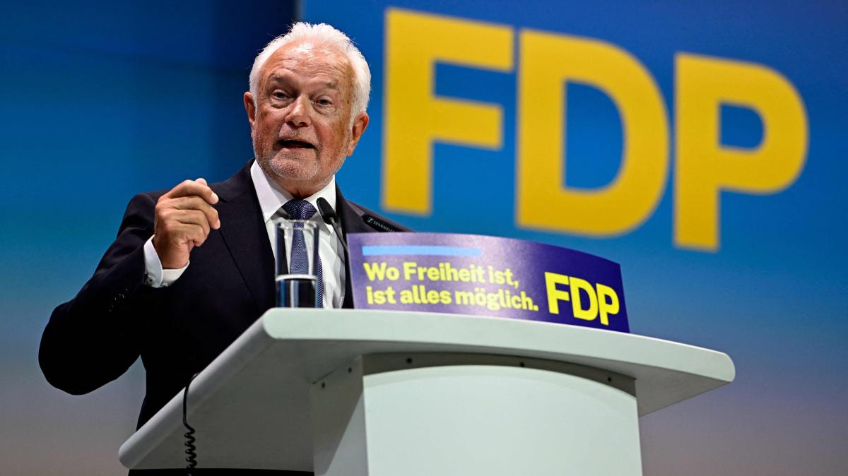 Wolfgang Kubicki is the new FDP chairman