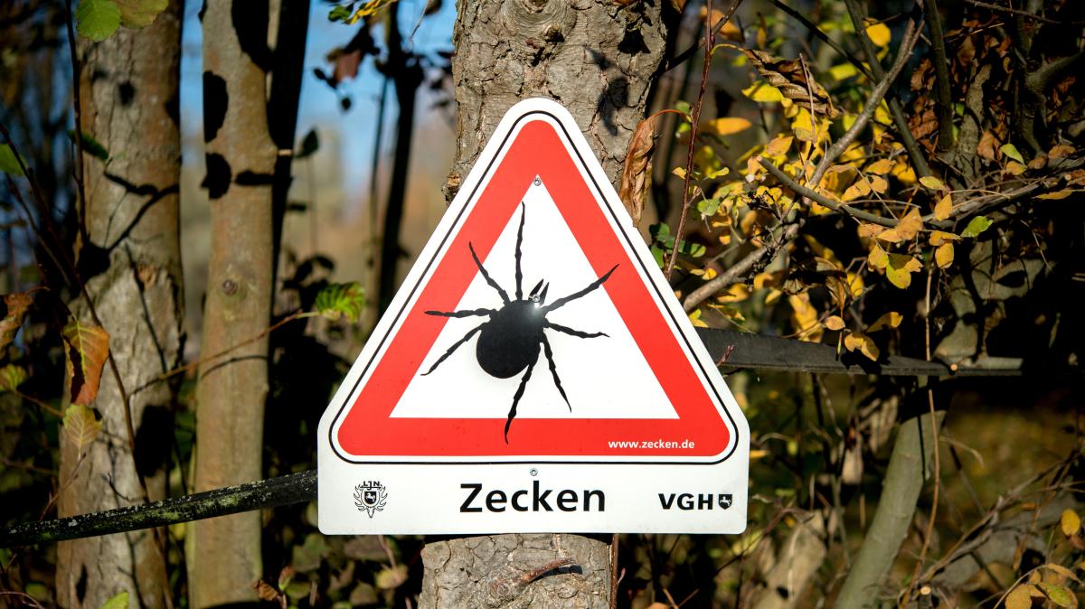 Emsland is a TBE risk area: Is tick vaccination also available in ...