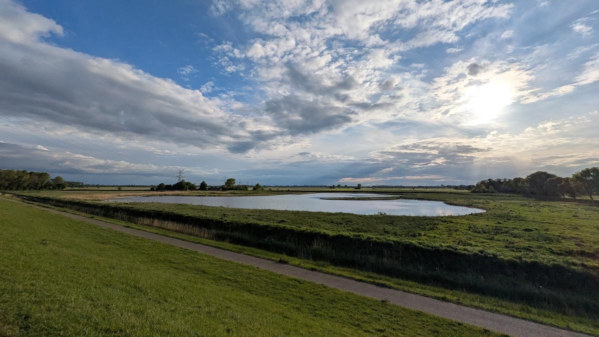 Polder on the Ems: How avocets and other species benefit