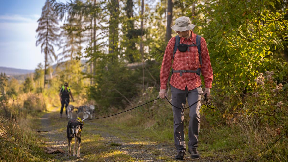 Hundefreundlicher-Urlaub-Beste-Aussichten-f-r-Menschen-mit-Hunden